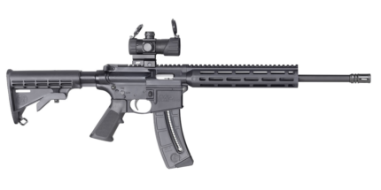 Smith & Wesson M&P15-22